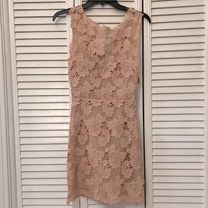 NWT Gianni Bini Dress